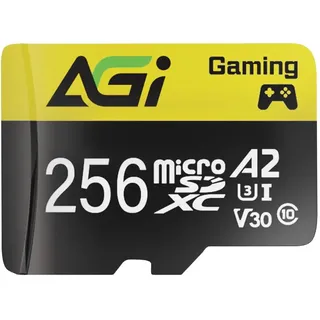 AGI TF138 Micro SD Karte 256GB Speicherkarte mit SD Adapter MicroSDXC
