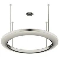 Dornbracht AQUAHALO Regenpaneel, 41750979-06, Farbe: Platin gebürstet