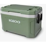 Igloo Kühlbox, (49 l)