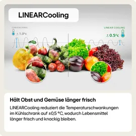LG »GBV5250CEP«,
