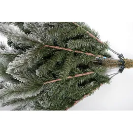 Evergreen Weihnachtsbaum Cedar Kiefer Frost 210 cm