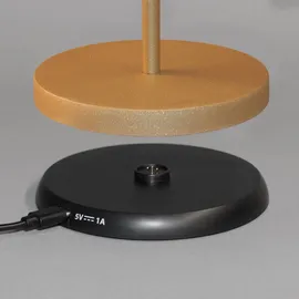 easy! by fhl Cosenza 2.0 Schwarz Gold