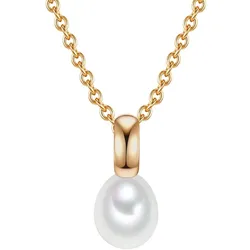 Valero Pearls Kette 925er Silber Ketten   Damen