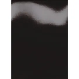 GBC HiGloss CE020010 A4 250 g/m2 schwarz 100