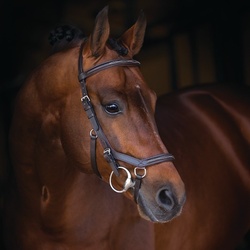 Horseware Rambo Micklem Deluxe Competition Eng Lthr. - Dark Havana, Pony