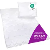 AddLiving Premium Bettenset Mikrofaser, 2-teilig – Steppbettdecke 200x220 cm Kopfkissen 80x80 cm