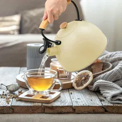 Briebe Pastel Wasserkessel Induktion Flötenkessel 2,5L Edelstahl, Retro Holzgriff, Gelb