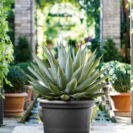 Euro3Plast Geo Ø 55 x 41 cm anthrazit