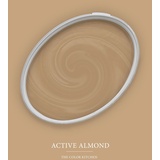 A.S. Création - Wandfarbe Braun "Active Almond" 2,5L