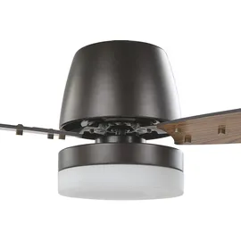 Beliani Deckenventilator mit Licht MLAVA