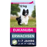Eukanuba Adult kleine & mittelgroße Rassen Lamm & Reis 2 x 12 kg