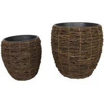 Frank Flechtwaren Kokos 2er Set 20 x 20 x 20 cm Braun
