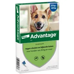 Advantage Nr. 400 Flohmittel Hund (25 - 40 kg) 1 Packung