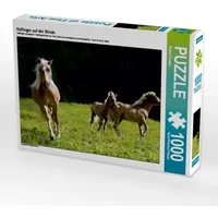 Calvendo Haflinger auf der Weide (Puzzle)