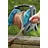 Gardena Comfort Flex Schlauch 13 mm 1/2" 30 m 18036-20