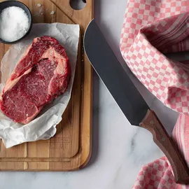 Tramontina Churrasco Fleischmesser 34 cm schwarz