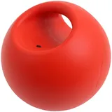 HAEST Befüllbarer Kettlebell aus Kunststoff - 700 Gramm bis 2,75 KG