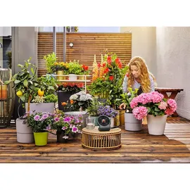 Gardena AquaBloom Set inkl. Wasserbehälter