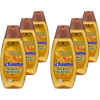Schauma Natur-Momente Honig Elixier & Kaktusfeigenöl Shampoo 6x400ml
