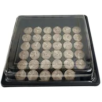 sesua Anzuchttablett Anzuchtset Anzucht Gewächshaus mit 35 Quelltabs Quelltabletten (1 St)