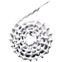 Xtenex Schnürsenkel 75 cm Weiß