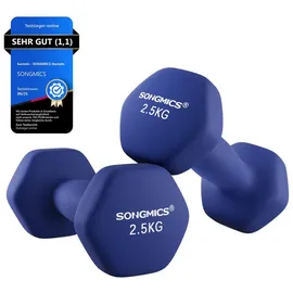 Songmics Kurzhantel 2er Set 2,5 kg rutschfest blau