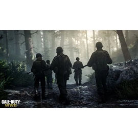 Call of Duty: WWII (USK) (PS4)