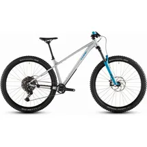 Cube Reaction TM One 2026 29 Zoll RH 0 cm Unisex grau
