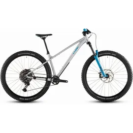 Cube Reaction TM One 2026 29 Zoll RH 0 cm Unisex grau