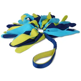 coachi Tuggi Spider blau/gelb