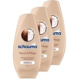 Schauma Spülung Repair & Pflege (250 ml), Haarspülung mit Kokos-Extrakt pflegt trockenes Haar, Reparatur-Spülung für bis zu 3 x bessere Kämmbarkeit, 3x 250 ml