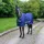 AMAHORSE Freedom Twill Pferdedecke 0g 125 cm Blau