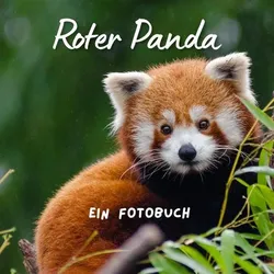 Roter Panda