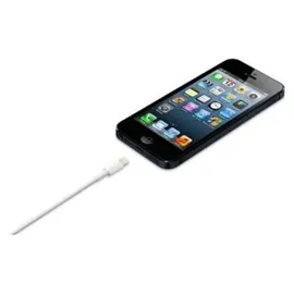 Apple Lightning auf USB Kabel 1,0m