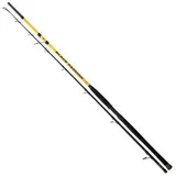 Black Cat Black Passion G2 Allround 270cm 600g - Wallerrute, Rute zum Welsangeln, Angelrute zum Angeln auf Wels