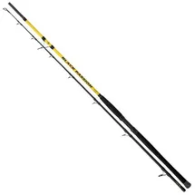 Black Cat Black Passion G2 Allround 270cm 600g - Wallerrute, Rute zum Welsangeln, Angelrute zum Angeln auf Wels