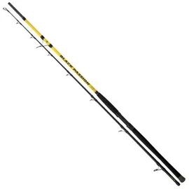 Black Cat Black Passion G2 Allround 270cm 600g - Wallerrute, Rute zum Welsangeln, Angelrute zum Angeln auf Wels
