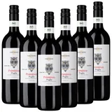 Bio-Primitivo Puglia IGT "TerrAmore" - 6er Karton