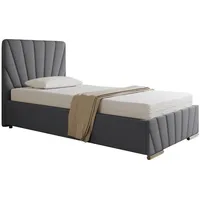 Panda möbel Polsterbett Grau, Holz, Mode, 100x206 cm, Oeko-Tex®