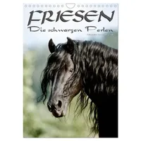Calvendo Friesen - die schwarzen Perlen (Wandkalender 2026 DIN