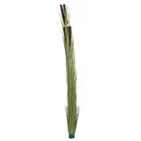 Europalms Schilfgras mit Kolben, künstlich, hellgrün, 152cm
