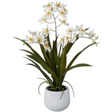 Creativ-green Kunstpflanze Cambria-Orchidee, im Keramiktopf, cm