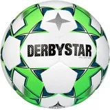 derbystar Fußball Brillant APS v24 5