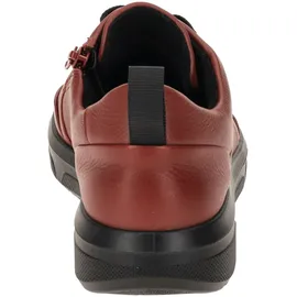 ARA Schnürer Roma wildberry Gr. 38 / 38 EU Weit