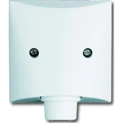Busch-Jaeger Zentralscheibe ws 2133-32