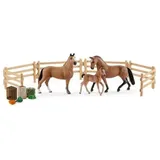 schleich® HORSE CLUB 42405 Hannoveraner Familie auf der Weide
