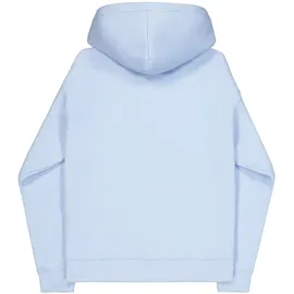 Alpha Industries DTM Alpha Hoodie blau 2