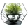 DanDiBo Ambiente Blumenampel 33,5 x 75,5 cm Schwarz