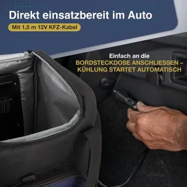 CARTREND Kühltasche 16L