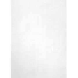 APLI Kopierpapier A4 100 g/m2 100 Blatt